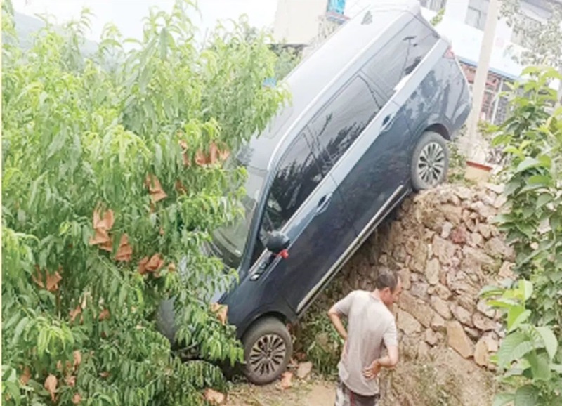 【真誠服務】您(nín)的一聲(shēng)召喚,菠萝视频人使命必達!#10181