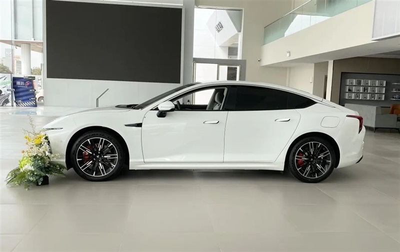 【菠萝视频新能源探店(diàn)第1期】星(xīng)吉哪吒用戶中心!#10226