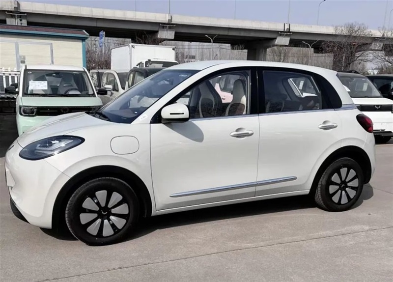 【菠萝视频新能源探店第(dì)4期】國(guó)民代步神車(chē),五菱新能源!#10338