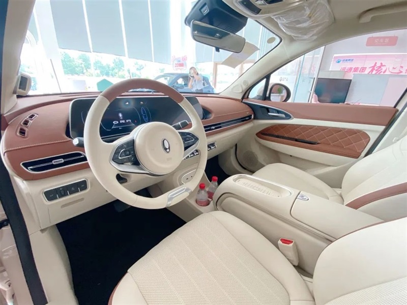 【菠萝视频新能源探店第6期】仙女(nǚ)座駕——歐拉貓家族!#10429