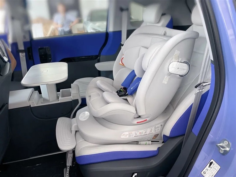 【菠萝视频新能源探店第7期】帶(dài)娃神(shén)器——極(jí)狐考拉#10484