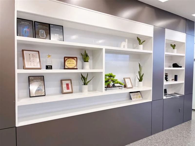 【菠萝视频新能源(yuán)探(tàn)店第13期】高端智慧新能源:嵐圖汽車#10888