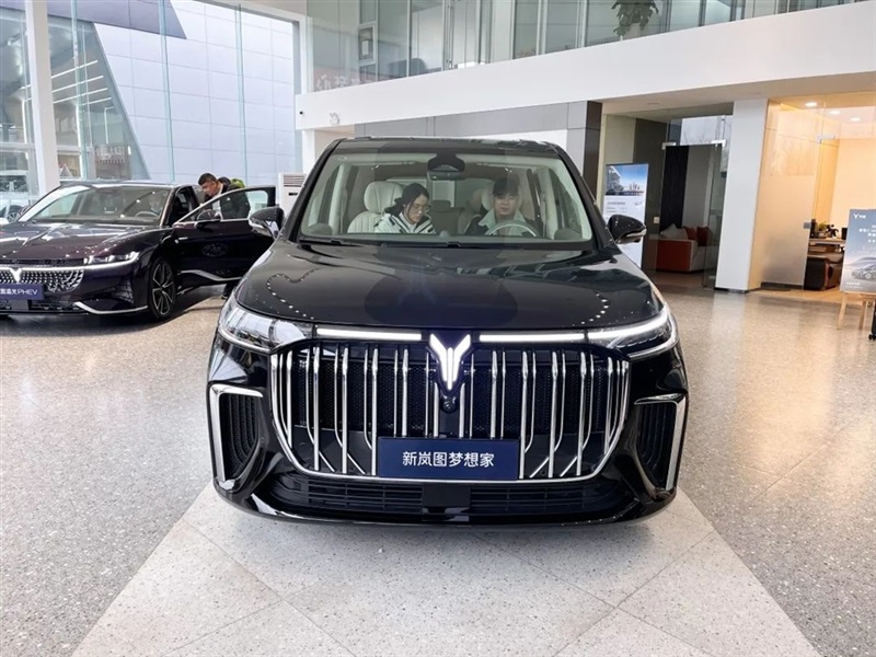 【菠萝视频新能源探店第13期】高端智慧新能源:嵐圖汽車#10891