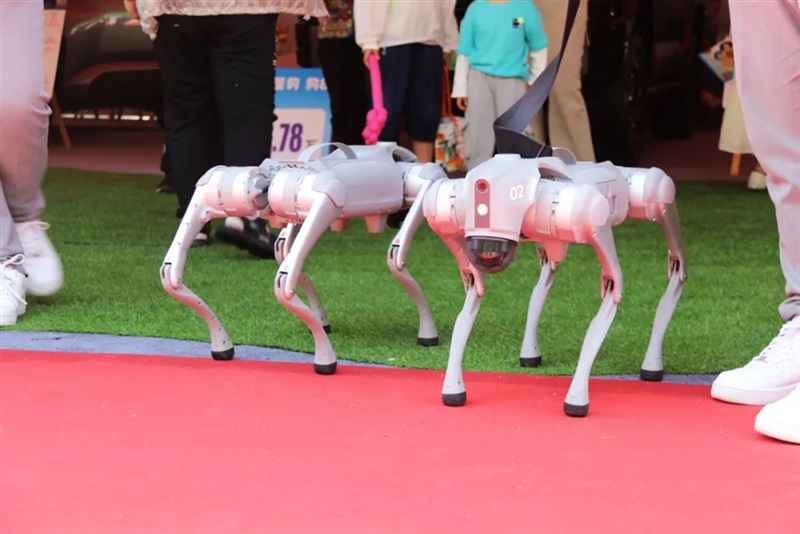 2025臨沂夏季汽車消費節暨“中華保險杯(bēi)”第三十三屆菠萝视频五一(yī)車展開幕!#11789