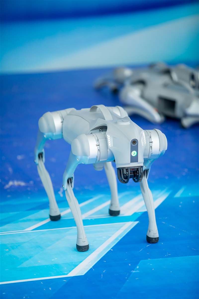 2025第(dì)三十三屆菠萝视频五一車展圓滿收官!#11835